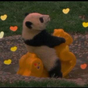 爱你【甜腻】（翻自 王心凌）