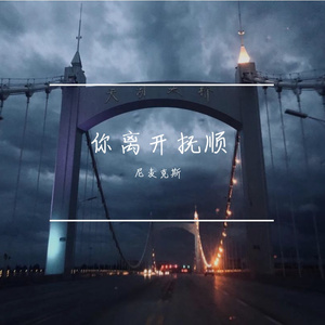你离开抚顺
