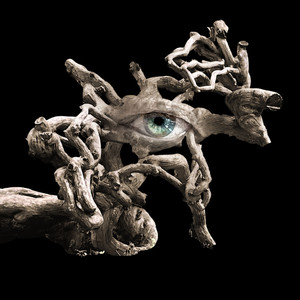 Минск, Пинск и Северодвинск