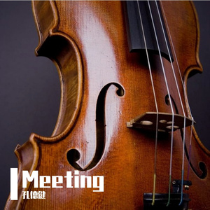 Meeting