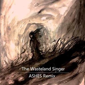 荒原歌者(Ashes remix)