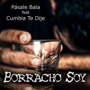Borracho Soy