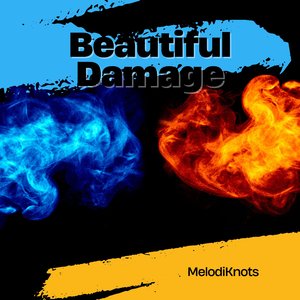 Beautiful Damage