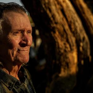 Defenders of the Alamo