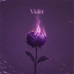 Violet