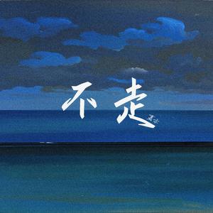 不走