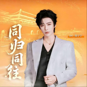 同归同往