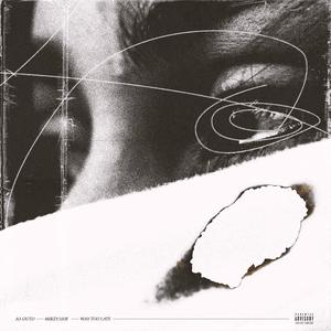 Way Too Late (feat. Mikey100k)