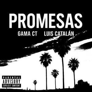 Promesas