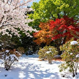 错季 (Cover 秋原依)