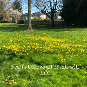 Weirdness (Instrumental Version)