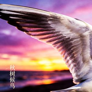 秋树候鸟