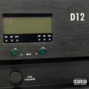 D12 Static
