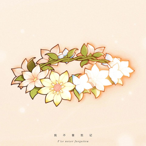 我不曾忘记（四十年之后FYL Remix）