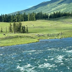 《爵士钢琴奏响咖啡馆的高效时光059