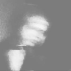 Terror, in the Night