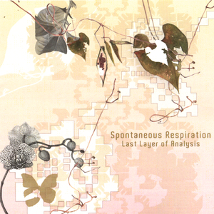 The Indecipherable Book of Nonsense