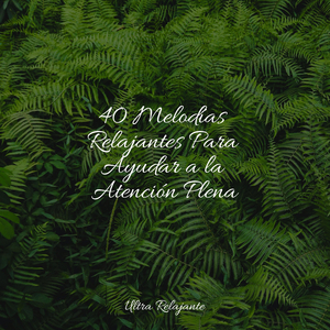 Monte en La Almohada