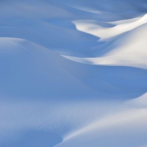 戒不掉对你的思念