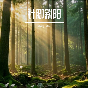 针脚斜阳