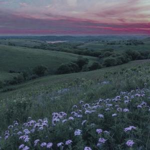 Meelim de guuitar live