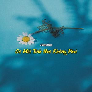 Có Mối Tình Nào Không Phai