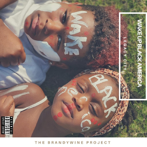 Wake up Black America