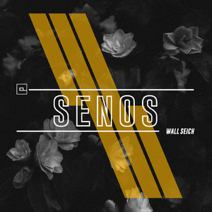 Senos (Dub Mix)