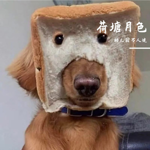 荷塘月色