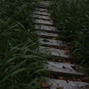 链子