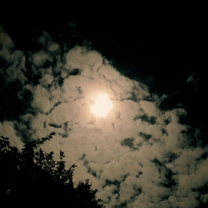 雨名月 (Sampler Only Version)