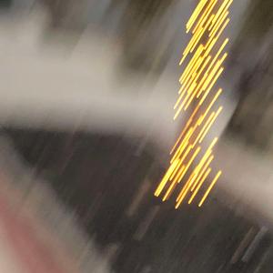 you could be my favorite