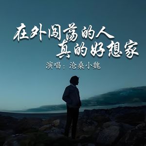 在外闯荡的人真的好想家