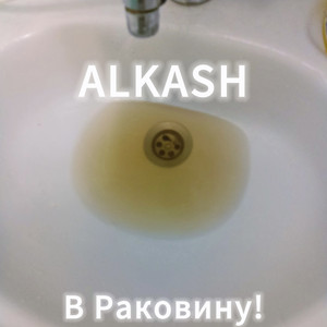 В раковину !