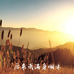 后来我满身烟味 (伤感版)