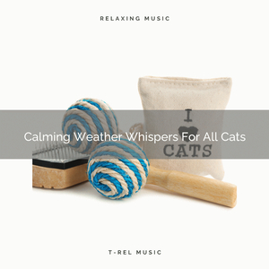 Total Wind Songs For Beloved Cats