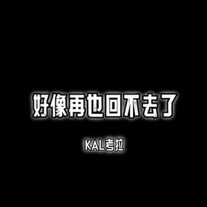 好像再也回不去了（DEMO）版