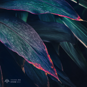 Doctor Syn (Axon. Remix)