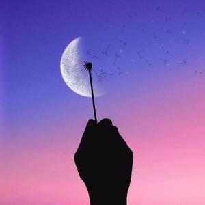 黄昏（英文版Twilight）