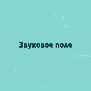 Звуковое поле