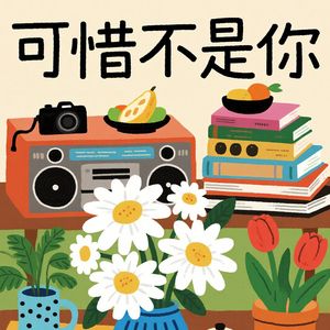 可惜不是你