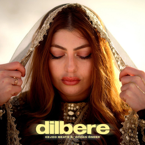 Dilbere