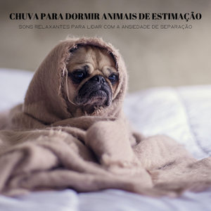 Gatinho Preto, Cachorro Branco