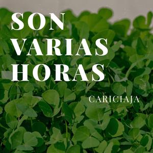 Son Varias Horas
