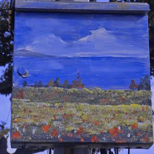 起风了_（翻唱）