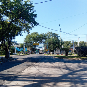 Temprano