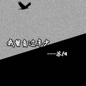 我曾负过年少（翻自 Mc楚新）