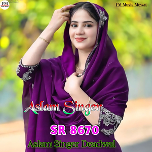 Aslam Singer SR 8670
