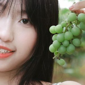 微醺的糖