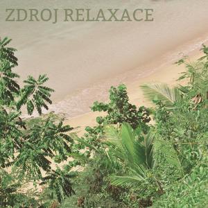 Zdroj relaxace, Pt. 12